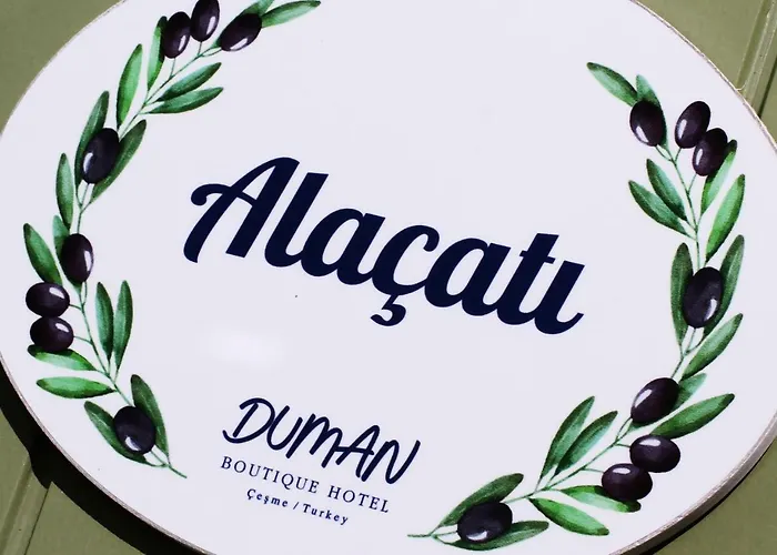 Hotell Duman Boutique *